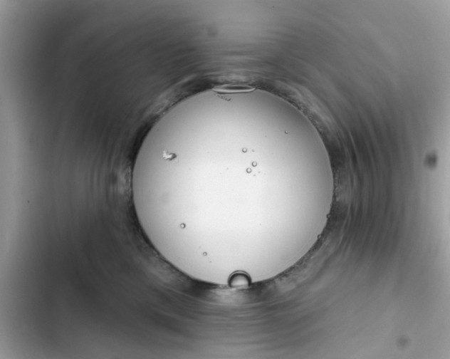 X0000102360425200808151817