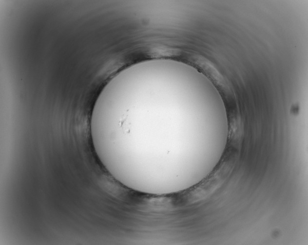 X0000102360426200808151817