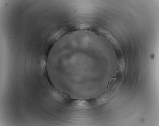 X0000102360427200808151817