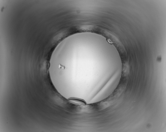 X0000102360428200808151817