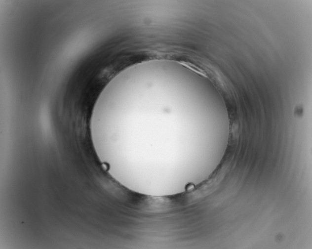 X0000102360429200808151817