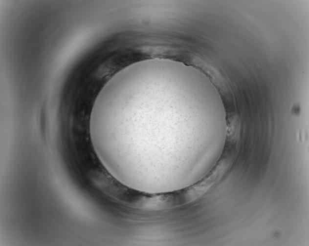 X0000102360430200808151817