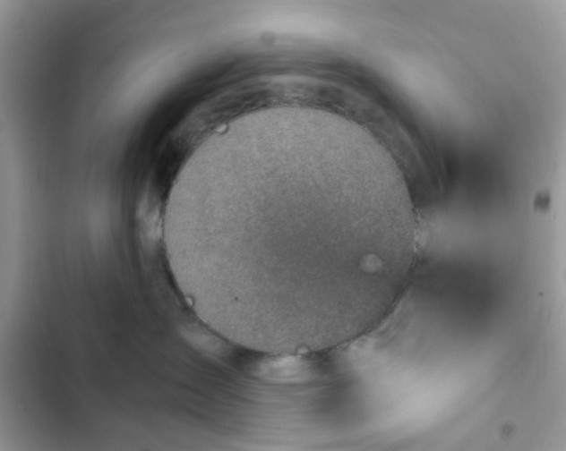 X0000102360431200808151817