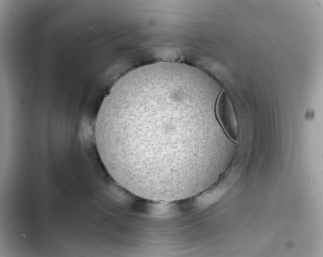 X0000102360432200808151817