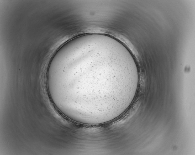 X0000102360433200808151816