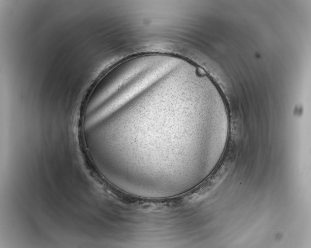 X0000102360434200808151816