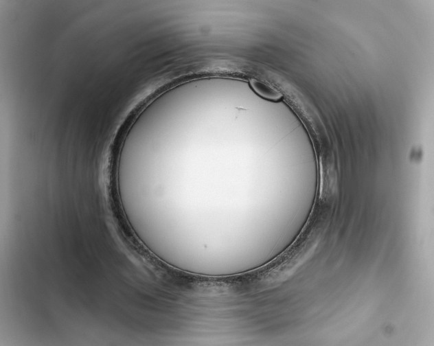 X0000102360435200808151816