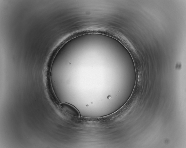 X0000102360436200808151816