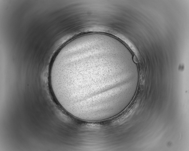 X0000102360437200808151816