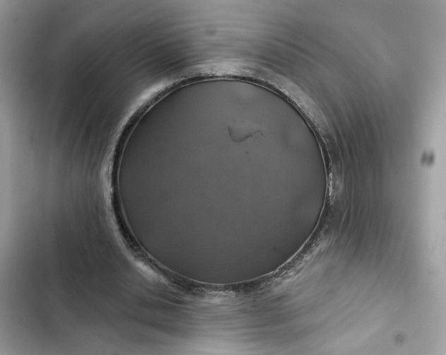 X0000102360438200808151816