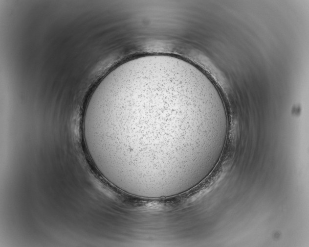 X0000102360441200808151816