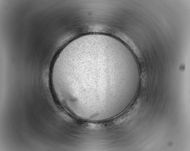 X0000102360442200808151816