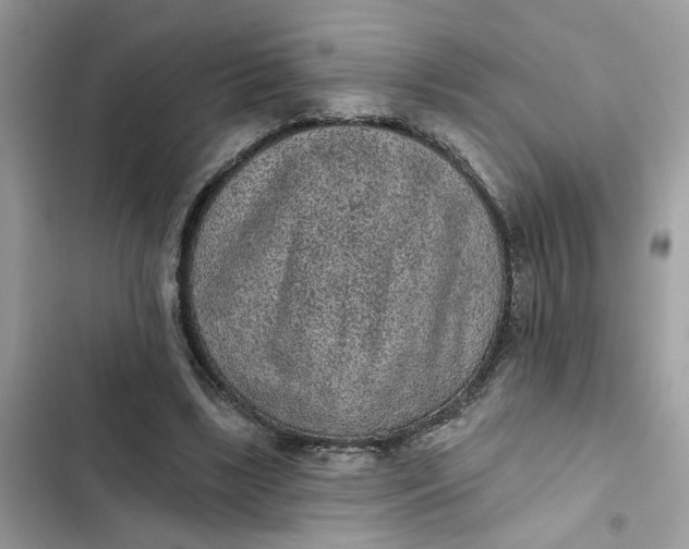 X0000102360443200808151816