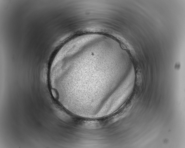 X0000102360446200808151816