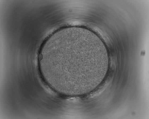 X0000102360447200808151816