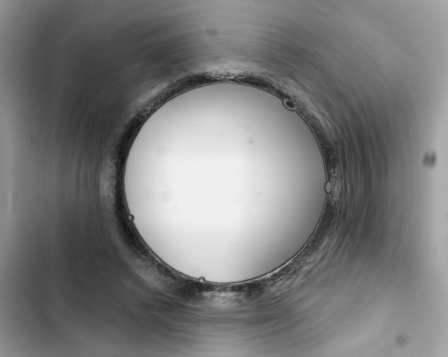 X0000102360448200808151816