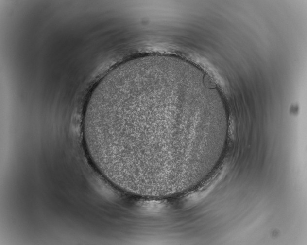 X0000102360449200808151816