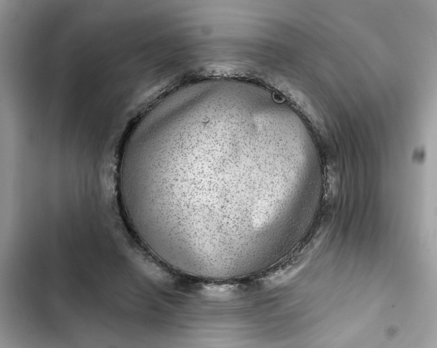 X0000102360450200808151816