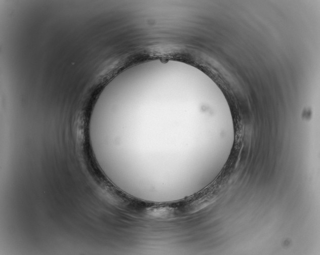 X0000102360452200808151816