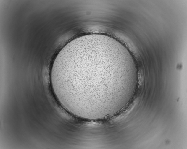 X0000102360453200808151816