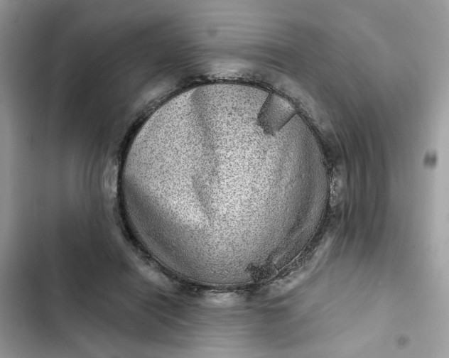 X0000102360454200808151816