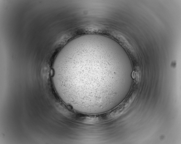 X0000102360458200808151816