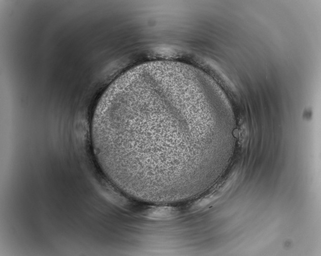 X0000102360459200808151816