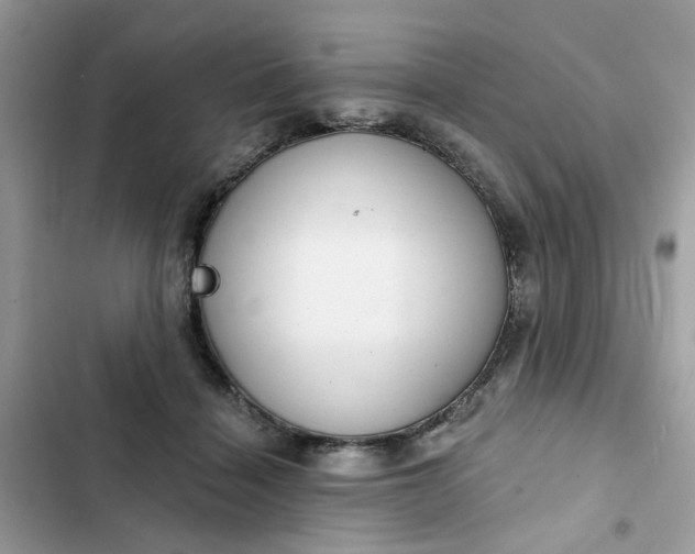 X0000102360460200808151817