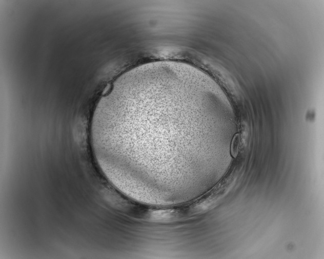 X0000102360461200808151817