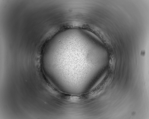 X0000102360462200808151817