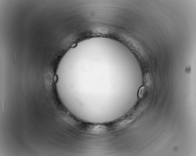 X0000102360463200808151817