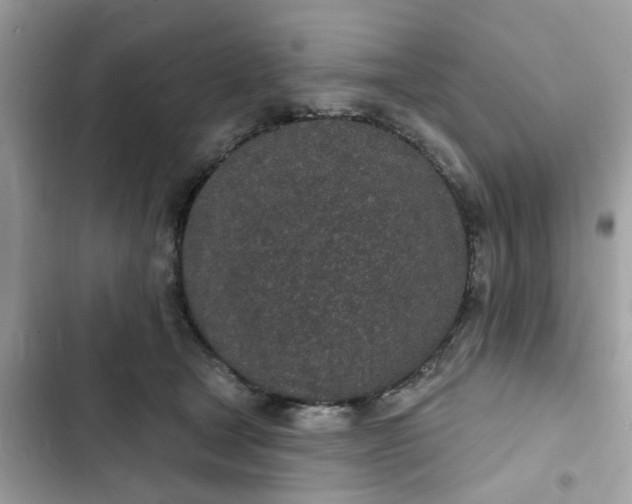 X0000102360465200808151817