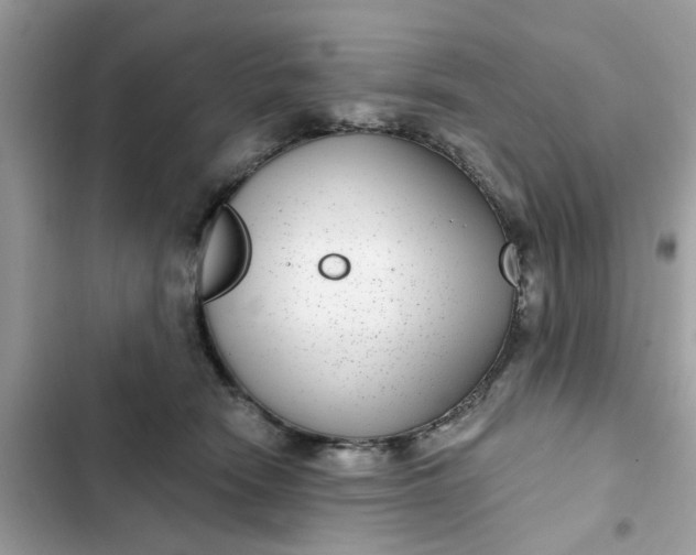 X0000102360466200808151817