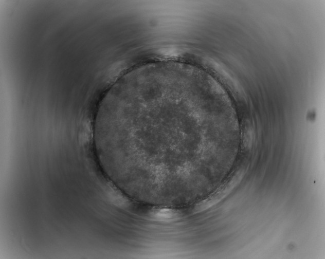 X0000102360467200808151817