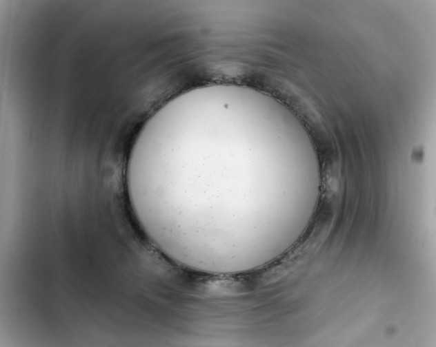 X0000102360468200808151817