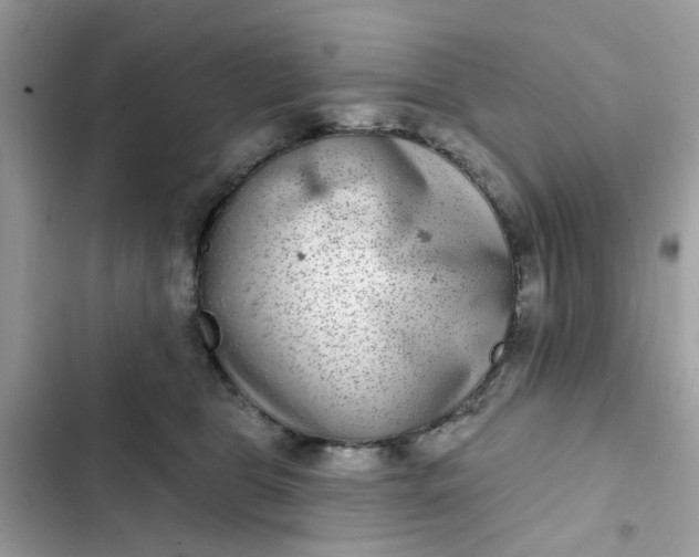 X0000102360469200808151817