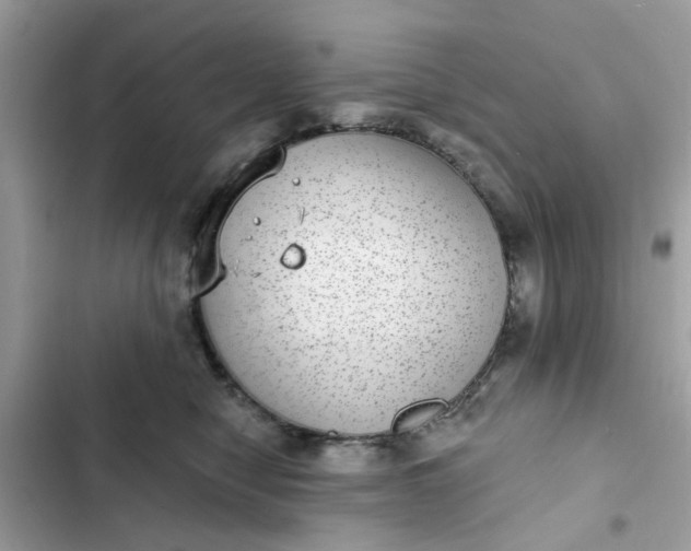 X0000102360470200808151817