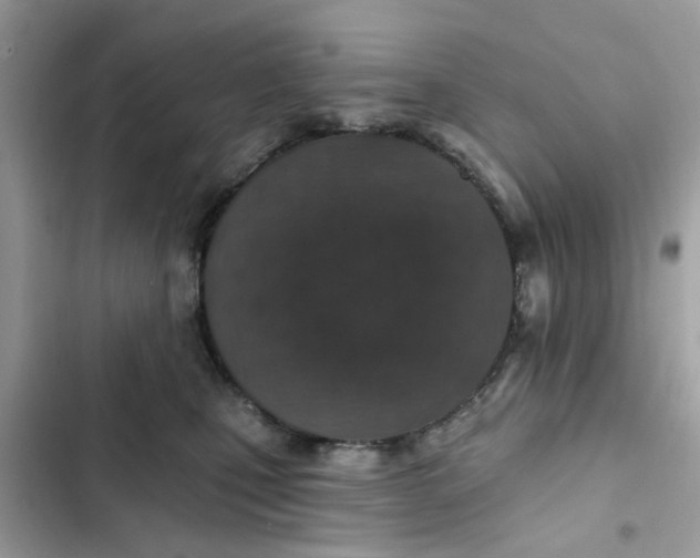 X0000102360471200808151817