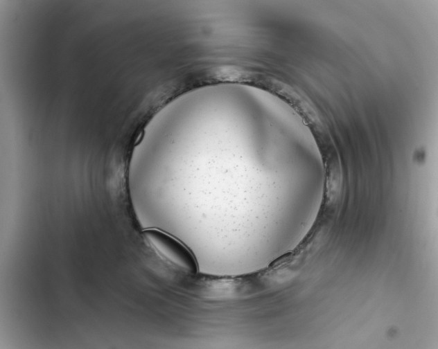 X0000102360473200808151817