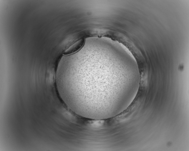 X0000102360474200808151817