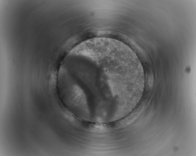 X0000102360475200808151817