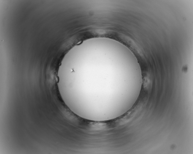 X0000102360476200808151817