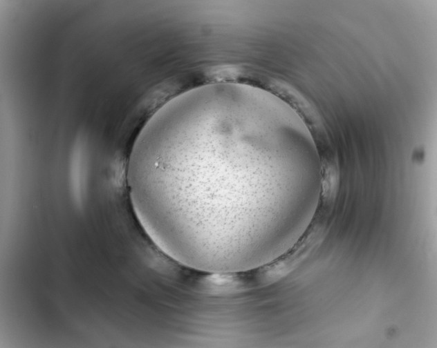 X0000102360477200808151817