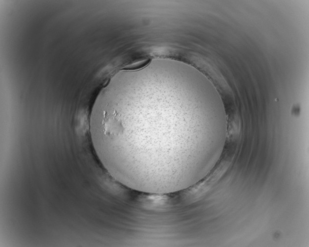 X0000102360478200808151817