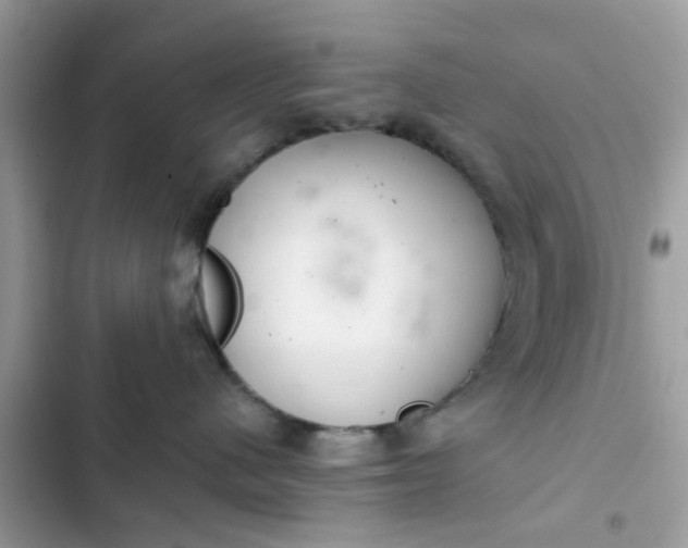 X0000102360480200808151817