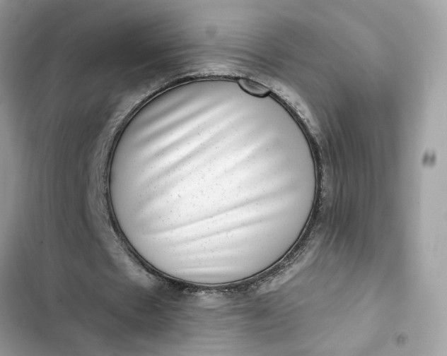 X0000102360481200808151816