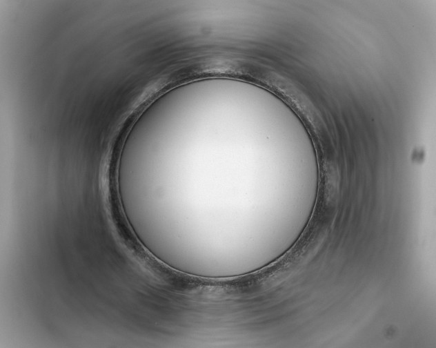 X0000102360482200808151816