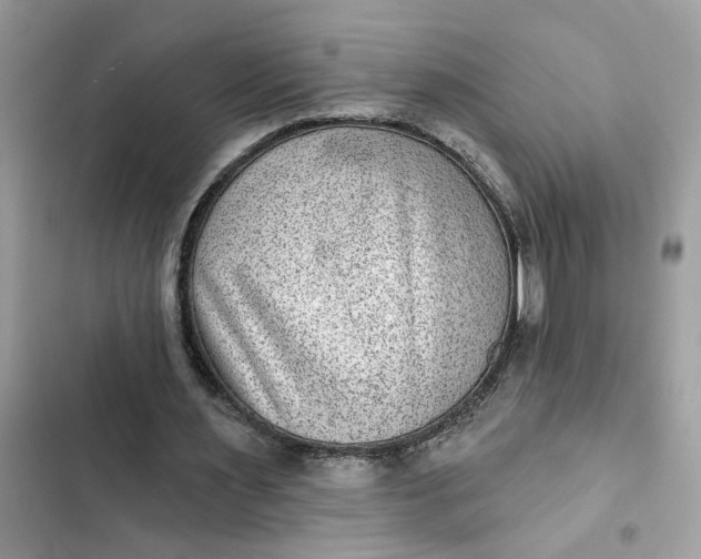 X0000102360483200808151816