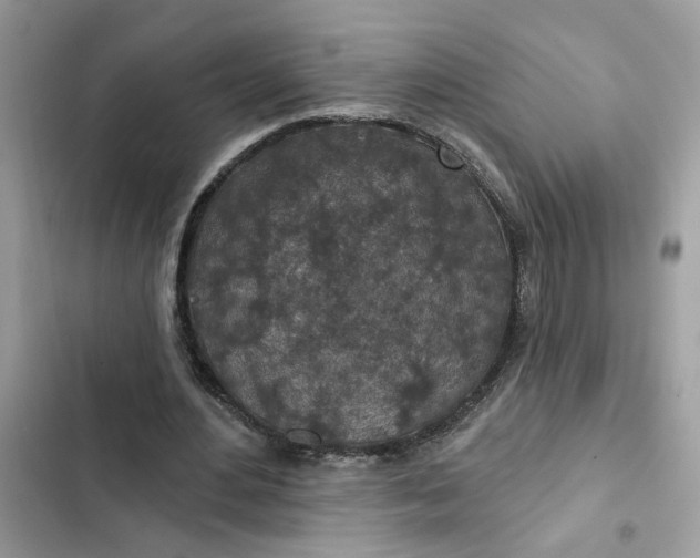 X0000102360484200808151816