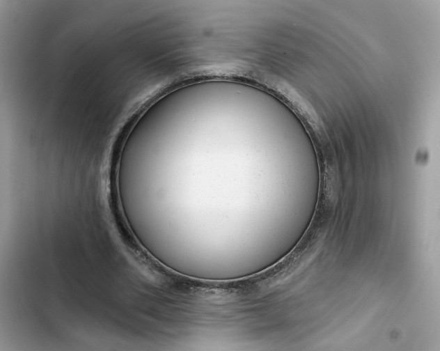 X0000102360486200808151816